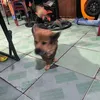 nghithanhnguyen12