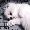 moonybunn7