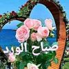 user7dt8zfgdd4