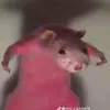 mathias_rex033