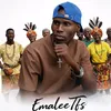 emaleevibes