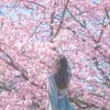 l.nguyt623