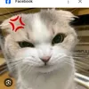 kobiet__01