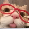 paklos_uvu11