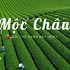 mocchautrongtoi26