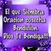 user7619041133437