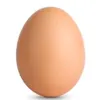davester_9