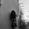 fck_yharaaa