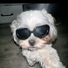 cheetos_135