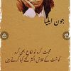 shaarif.sindhi