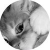 me.vip_