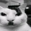 skibidi_lamne1120
