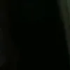 ng355559696
