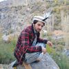 riazahmad8044