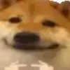 iluvcatt016