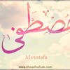 mustafa.ragab82