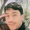 shahedrehman830