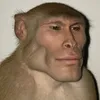 fgluigi