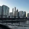 mohammedelrashed8