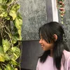 dandelion4555