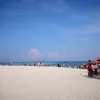 the_goldentower