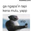 alipbelajarbaiq