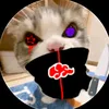 vandolo.com