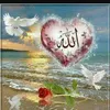 user1pu7l08vf4