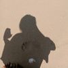onco_wiwi