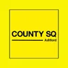 County Square Shopping Centre