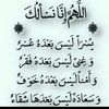 user4910302581749