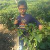 farukhussain249