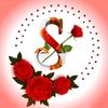 user23055116181584