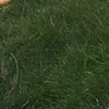 itsbunnysniezka2