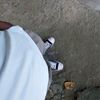 v.g.i_18