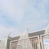 jeruk_asin