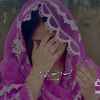 sherazali7232