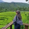 nsya.nrmlaa