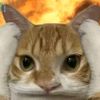 sstarelyn