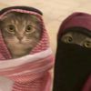 amalalsayed489