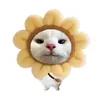 zyy_06111