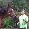 zubialdea_arabians