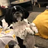 kizzycarr701