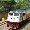tangzzrailfans84an