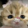 diystargirl.thida