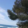 isabellemille830