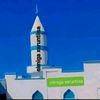 fawzia676