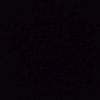 shastun_6