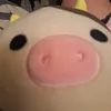 theqweenalpaca