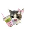 ariana.greenred